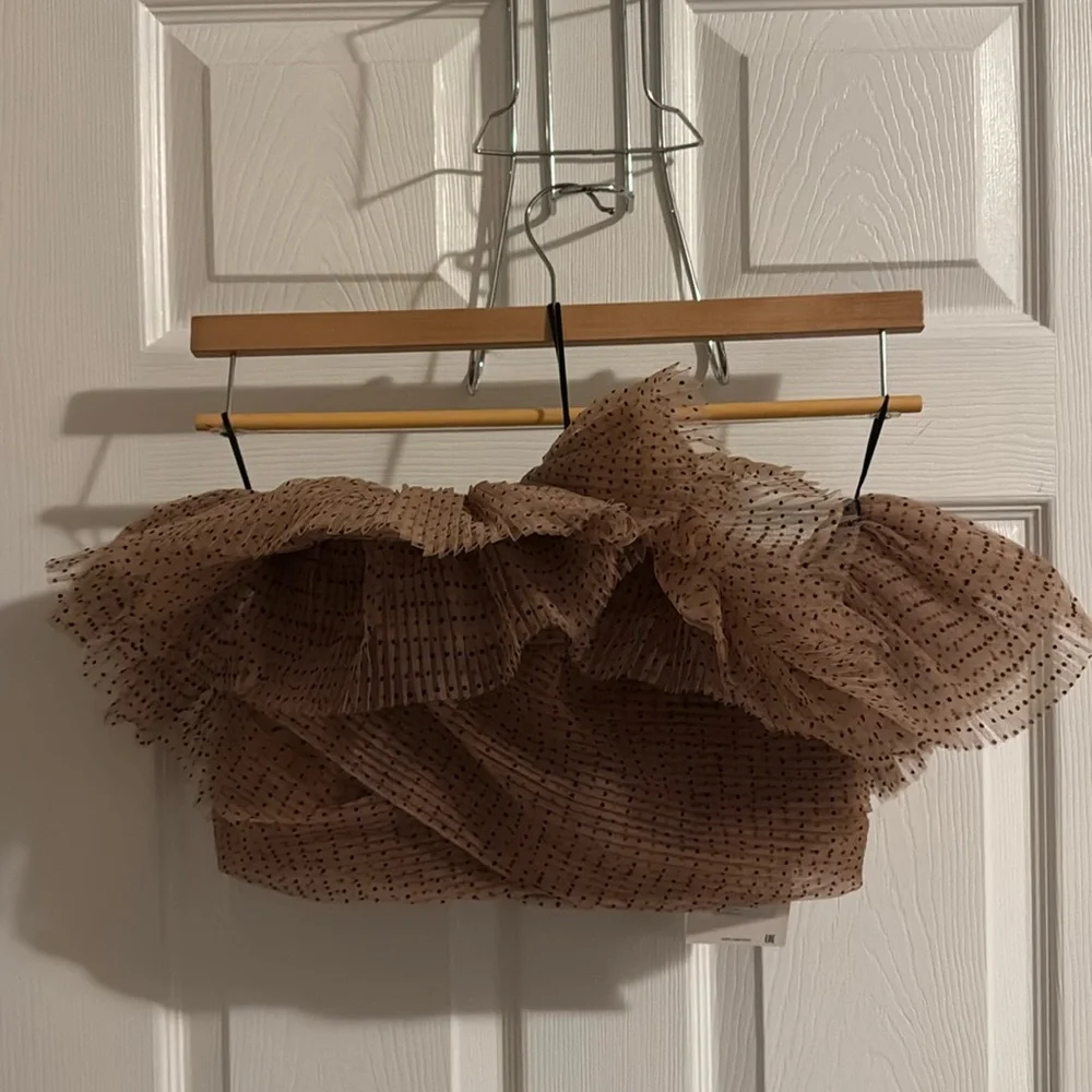 NWT Zara Tulle polka dot nude bustier top. - Picture 4 of 7